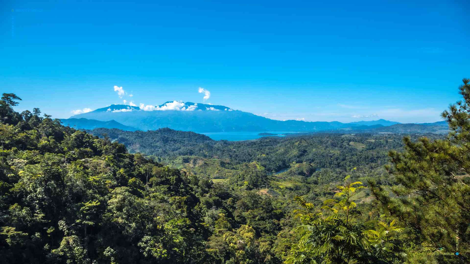 Talleres de Cuerdas Honduras Team Building para el desarrollo de equipos de trabajo